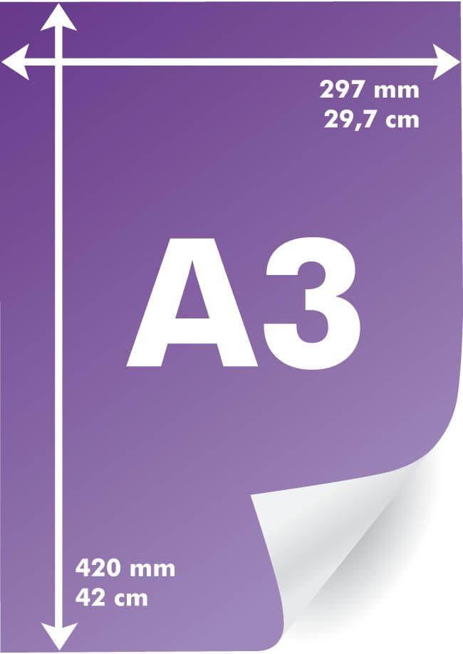 A3